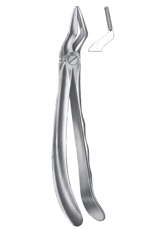 Extracting Forceps – English Pattern