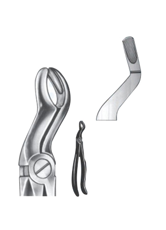 Extracting Forceps – English Pattern