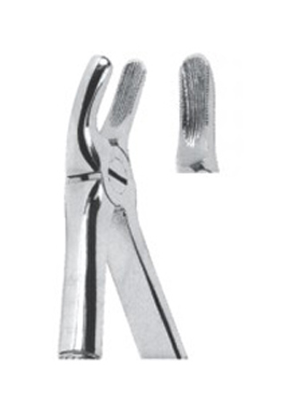 Extracting Forceps – English Pattern