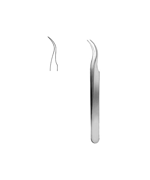 Jeweler Type Forceps