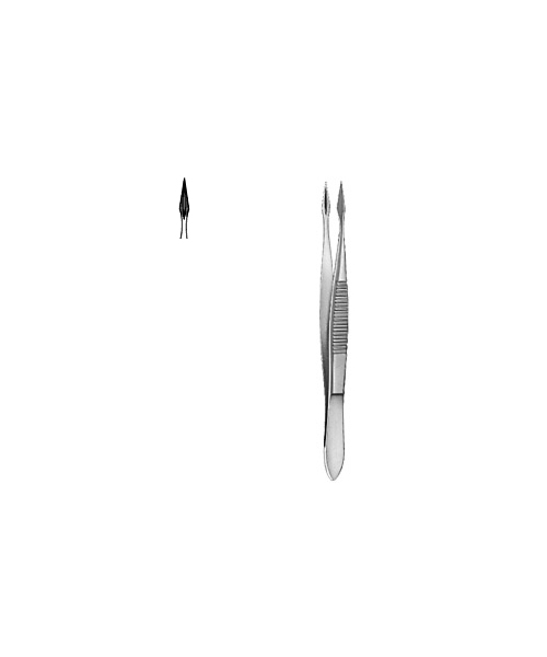 Splinter Forceps