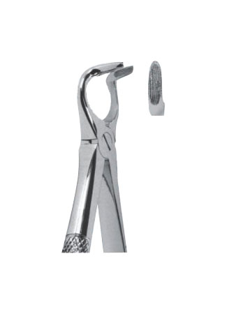 Extracting Forceps – English Pattern