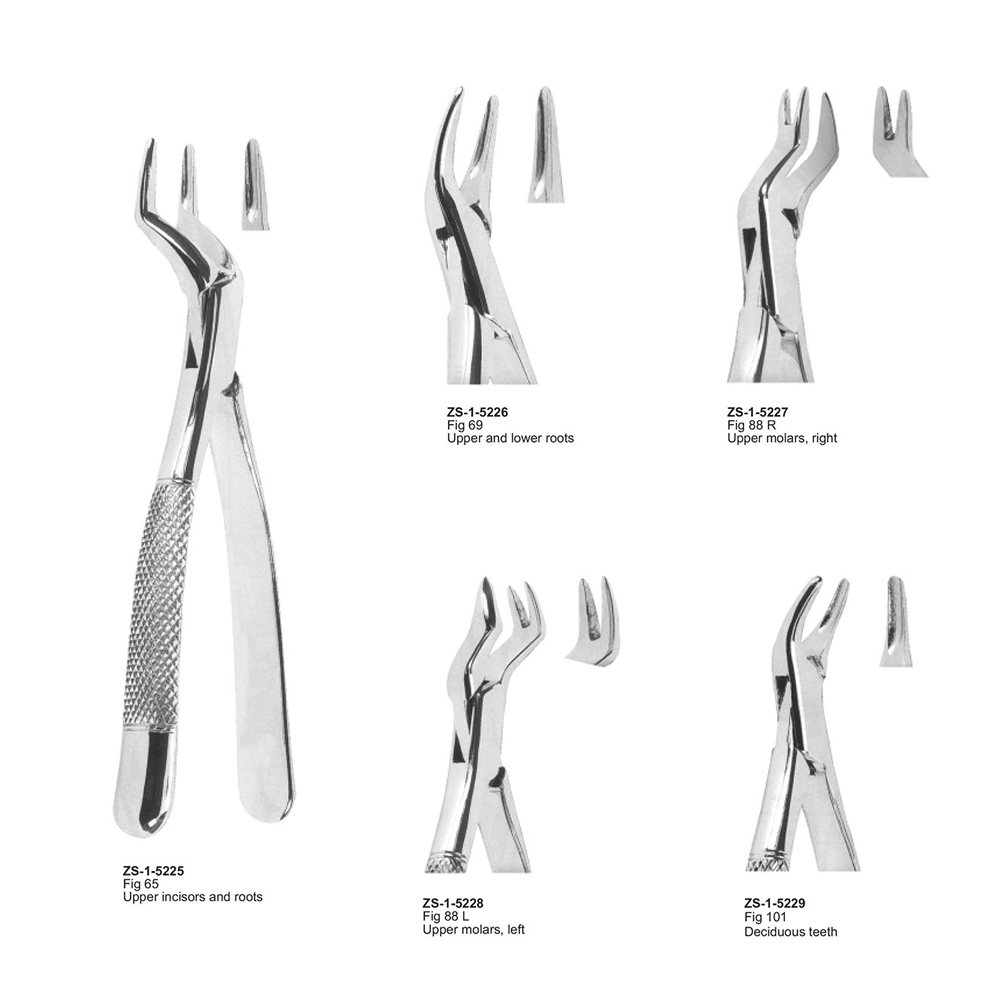 Extracting Forceps