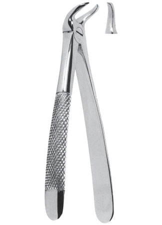 Extracting Forceps – English Pattern