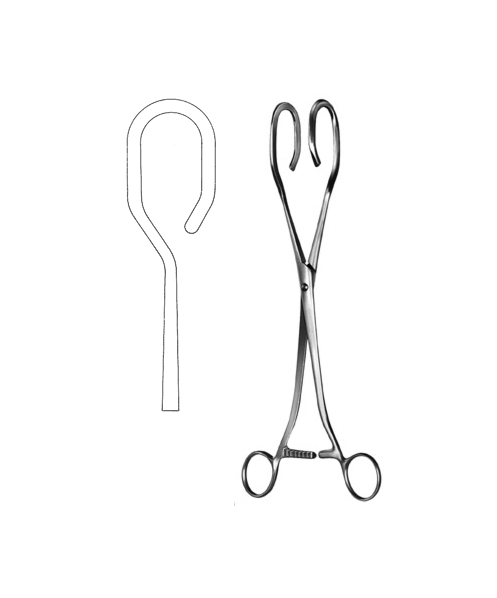 Uterine Seizing Forceps