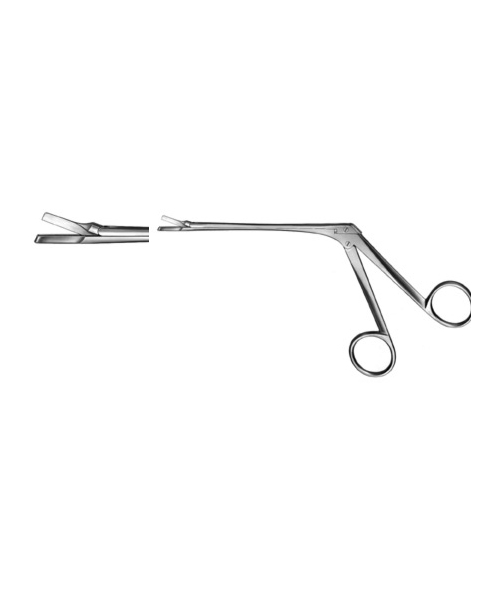 Nasal Cutting Forceps