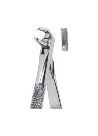 Extracting Forceps – English Pattern