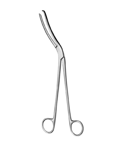 Sterilizing Forceps